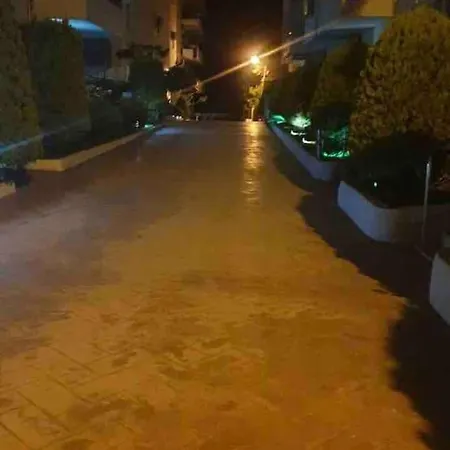 Ami Vlore