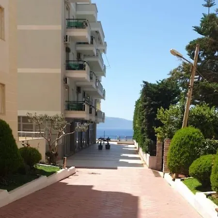 Ami * Vlore